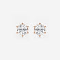 Adeline - Classic Six-Prong Style Earrings