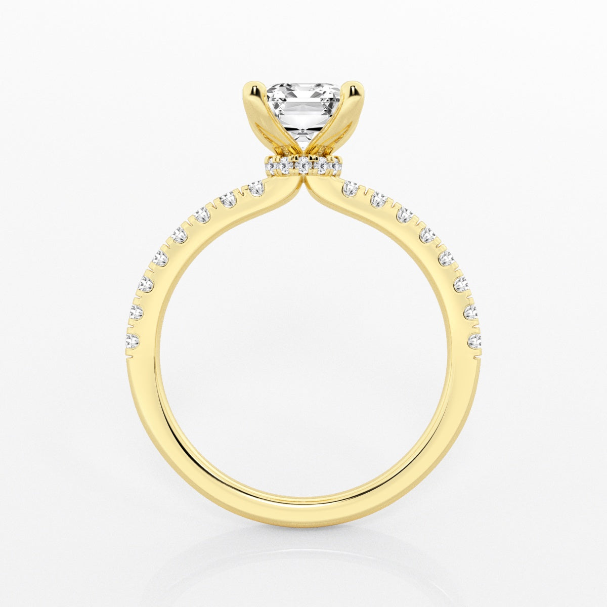 Everly - Hidden Halo Elegance Engagement Ring